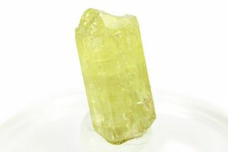 Gemmy Yellow-Green Apatite Crystal - Morocco #276538