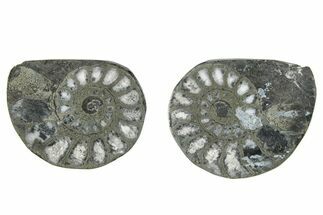 Pyritized Cut Ammonite Fossil Pair - Morocco #276594