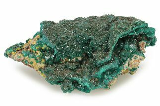 Sparkling Dioptase Crystal Cluster - Republic of the Congo #277847