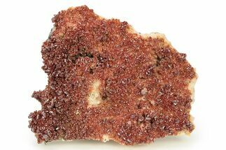 Glittering, Ruby Red Vanadinite Crystals on Barite - Morocco #278248