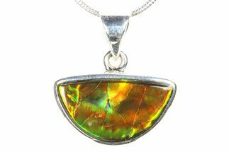 Stunning Ammolite Pendant (Necklace) - Sterling Silver #278379