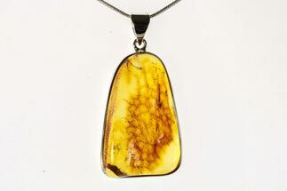 Polished Baltic Amber Pendant (Necklace) - Sterling Silver #279182
