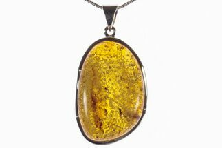 Polished Baltic Amber Pendant (Necklace) - Sterling Silver #279205