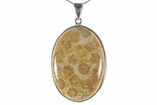 Polished Fossil Coral Pendant - Sterling Silver #279230