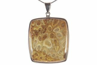 Polished Fossil Coral Pendant - Sterling Silver #279231