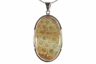 Polished Fossil Coral Pendant - Sterling Silver #279236