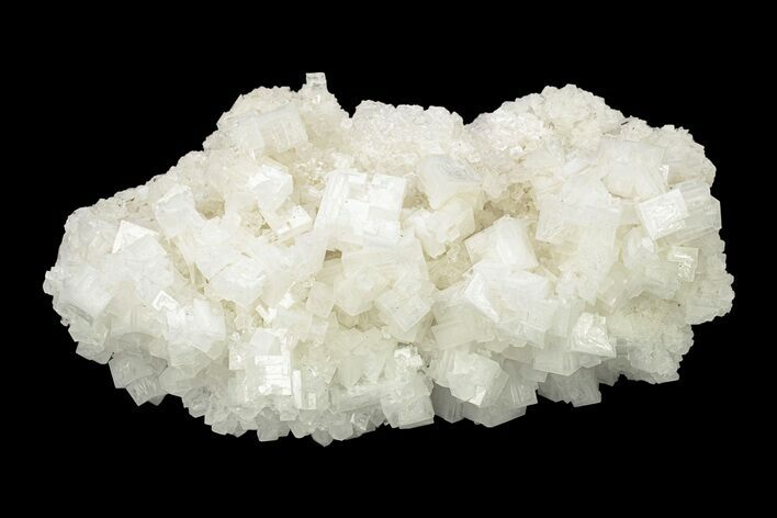 Red Halite 5.2