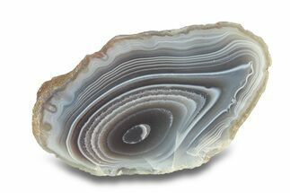 Polished Botswana Agate - Botswana #279747