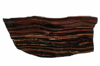 Polished Tiger Iron Stromatolite Slab - Billion Years #279769
