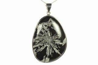 Polished Chrysanthemum Stone Pendant - Sterling Silver #279876