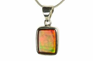 Stunning Ammolite Pendant (Necklace) - Sterling Silver #279980