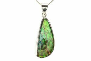 Iridescent Fossilized Ammolite Amolite selling Pendant in Sterling Silver From Southern Alberta, Canada - 1.5