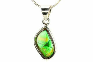 Stunning Ammolite Pendant (Necklace) - Sterling Silver #280009