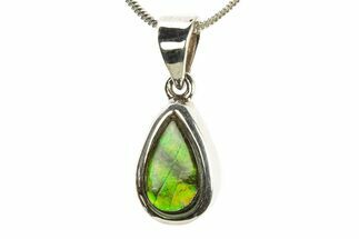 Stunning Ammolite Pendant (Necklace) - Sterling Silver #280011