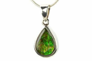 Stunning Ammolite Pendant (Necklace) - Sterling Silver #280013