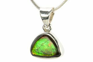 Stunning Ammolite Pendant (Necklace) - Sterling Silver #280014