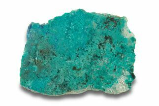 Colorful Chrysocolla and Shattuckite Section - Mexico #280114