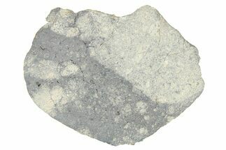 Eucrite Meteorite Slice ( g) - From Vesta Minor-Planet #280653