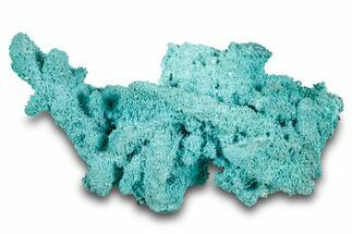 Chrysocolla Pseudomorph - Lupoto Mine, DR Congo #280752