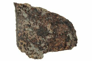 Holbrook Chondrite Meteorite Section ( g) - Arizona #280787