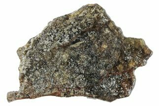 Diogenite Meteorite ( g) Slice - From Vesta Micro-Planet #281016