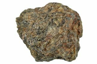 LL Chondrite Meteorite Fragment ( g) - NWA #281102