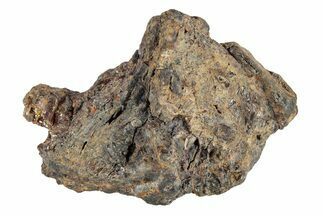 Pallasite Meteorite ( g) - NWA #281360