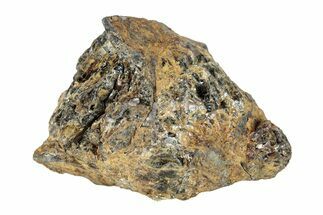 Pallasite Meteorite ( g) - NWA #281370