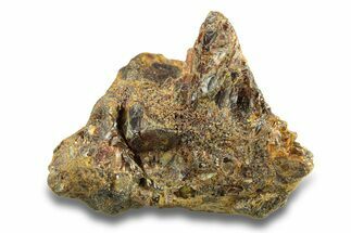Pallasite Meteorite ( g) - NWA #281414