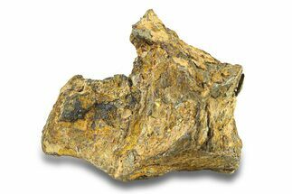 Pallasite Meteorite ( g) - NWA #281419