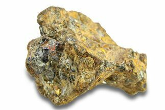 Pallasite Meteorite ( g) - NWA #281429