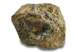 Pallasite Meteorite ( g) - NWA #281455