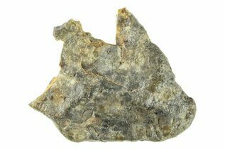 Laayoune 002 Meteorites For Sale