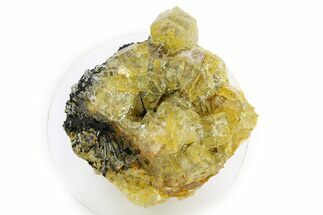 Gemmy Heliodor Crystal Cluster - Erongo Mountains, Namibia #281659