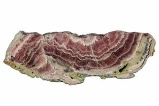 Polished Banded Rhodochrosite Slab - Argentina #281812