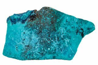 Vibrant Chrysocolla and Shattuckite Section - Mexico #281738