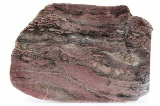 Mesoproterozoic Laminar Stromatolite Slab - Arizona #282241