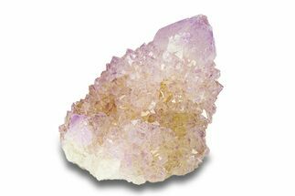 Cactus Quartz (Amethyst) Crystal - South Africa #281891