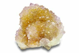 Cactus Quartz (Amethyst) Crystals - South Africa #281893