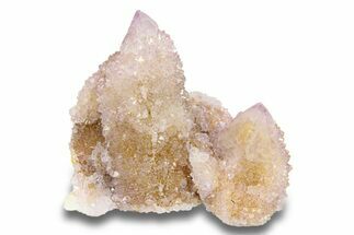 Cactus Quartz (Amethyst) Crystal Cluster - South Africa #281897