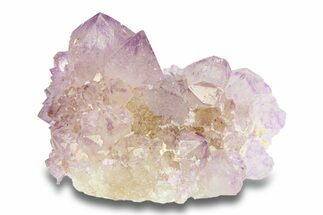 Cactus Quartz (Amethyst) Crystal Cluster - South Africa #281903