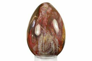 Colorful, Polished Petrified Wood Egg - Madagascar #282377