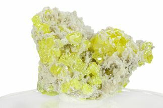 Striking Sulfur Crystals on Fluorescent Aragonite - Italy #282575
