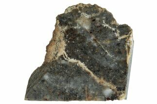 Lunar Meteorite Slice ( g) - NWA #283592