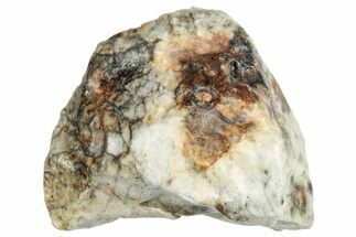 Aubrite Meteorite ( g) - Djoua #283660