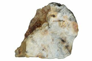 Aubrite Meteorite Slice - Djoua #283662