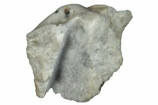 Aubrite Meteorite Fragment - Djoua #283674