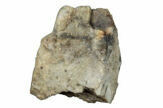 Aubrite Meteorite Fragment - Djoua #283675