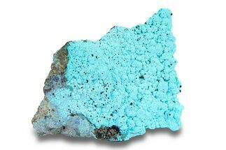 Bright Blue Botryoidal Chrysocolla - Planet Mine, Arizona #283878