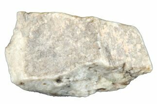Aubrite Meteorite Fragment - Djoua #283639